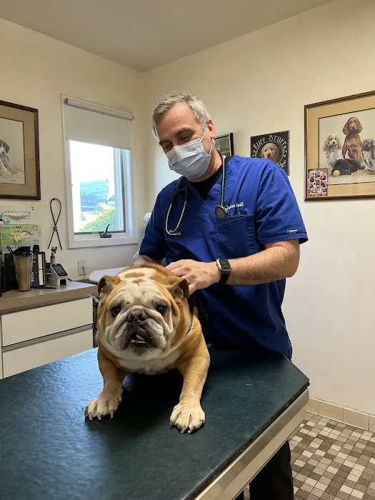 Richmond Valley Veterinary Practice Picture 1