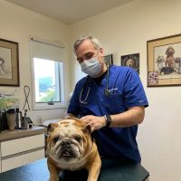 Richmond Valley Veterinary Practice ico