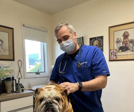 Richmond Valley Veterinary Practice