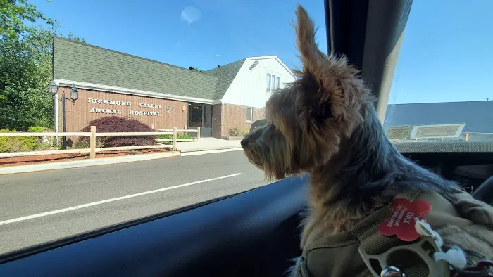 Richmond Valley Veterinary Practice Picture 6