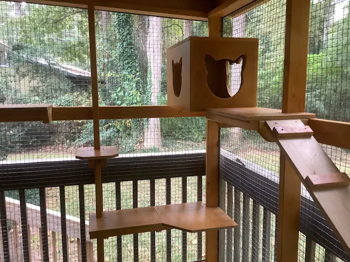 Catio BoB Picture 6