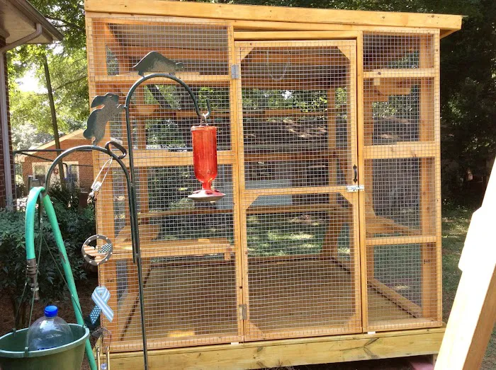 Catio BoB Picture 2