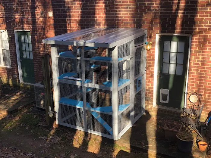 Catio BoB Picture 8