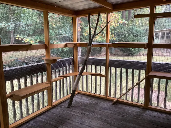 Catio BoB Picture 5
