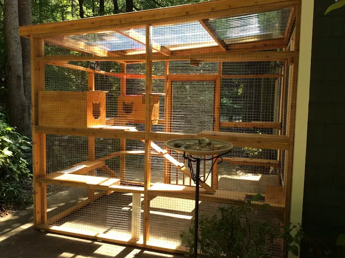 Catio BoB Picture 1