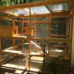 Catio BoB