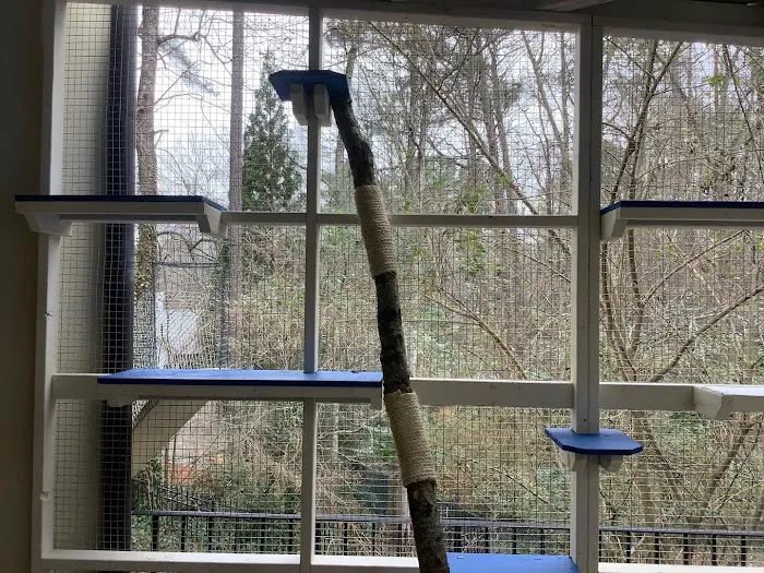 Catio BoB Picture 7