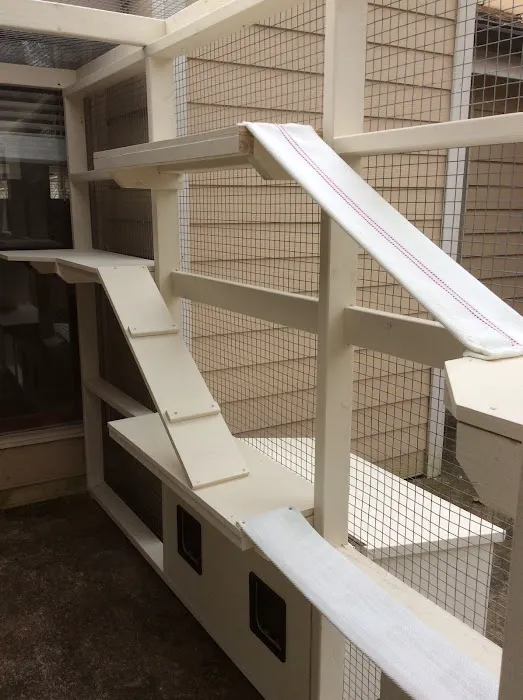 Catio BoB Picture 10