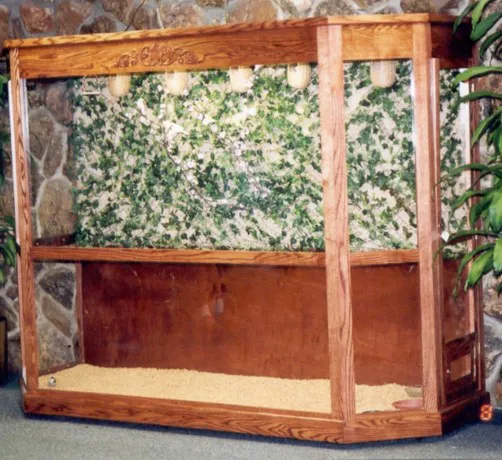 Classic Design Aviaries Picture 2