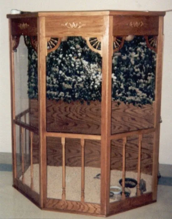 Classic Design Aviaries Picture 6