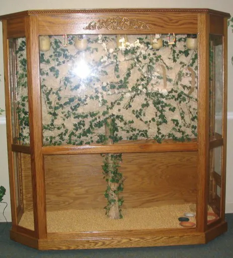 Classic Design Aviaries Picture 8