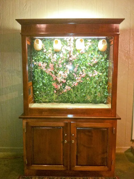 Classic Design Aviaries Picture 9
