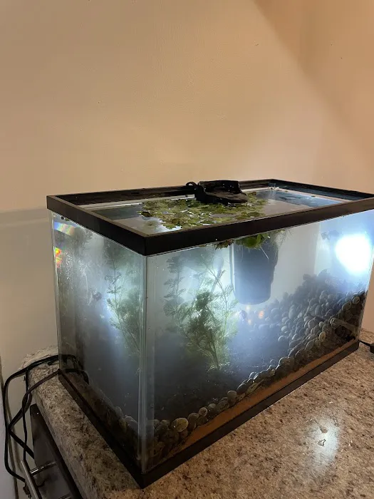 Fish Gallery - Athens Picture 4