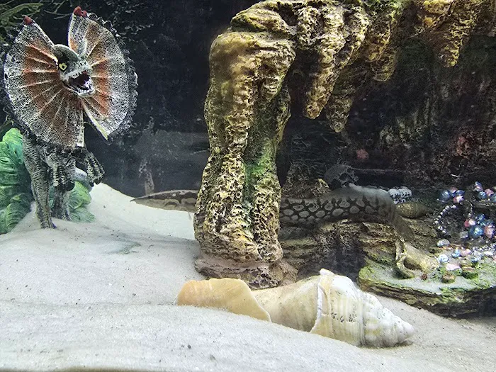 Fish Gallery - Athens Picture 1