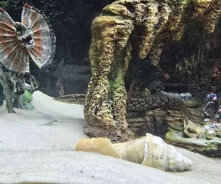 Fish Gallery - Athens