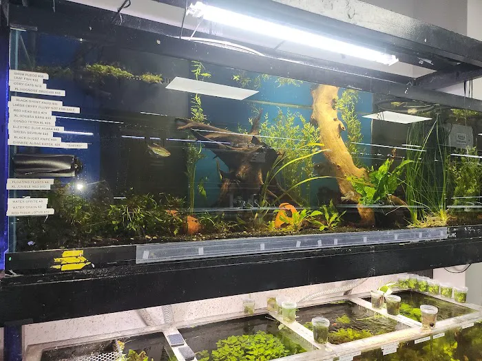 Fish Gallery - Athens Picture 3