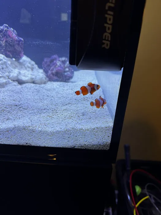 Fish Gallery - Athens Picture 5