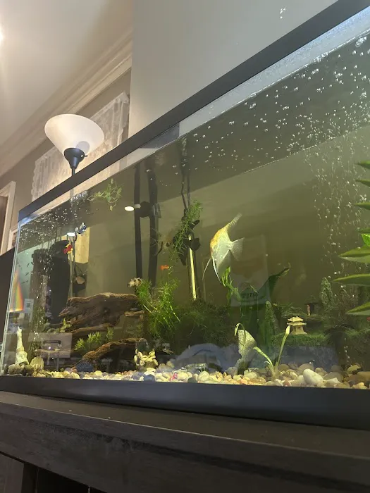 Fish Gallery - Athens Picture 8