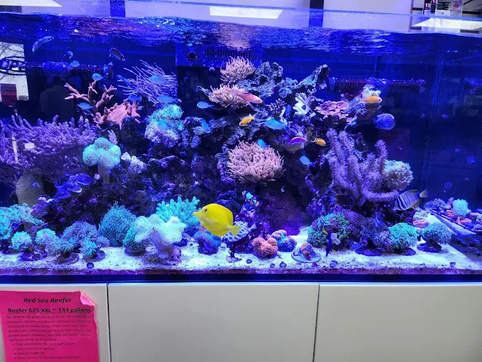 Fish Gallery - Athens Picture 9