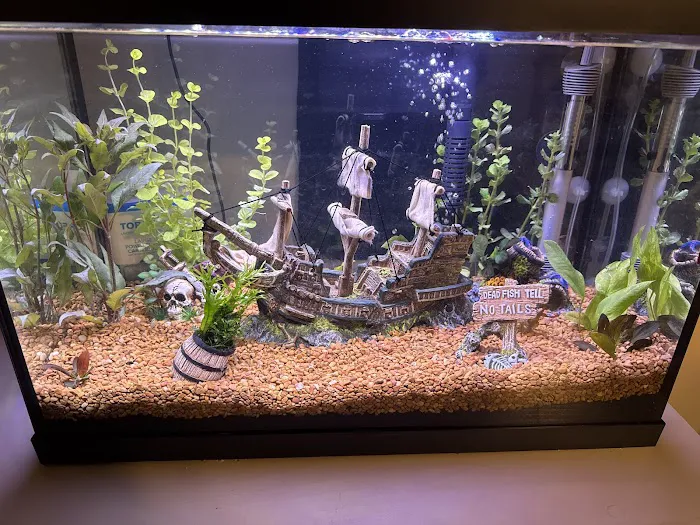 Fish Gallery - Athens Picture 6