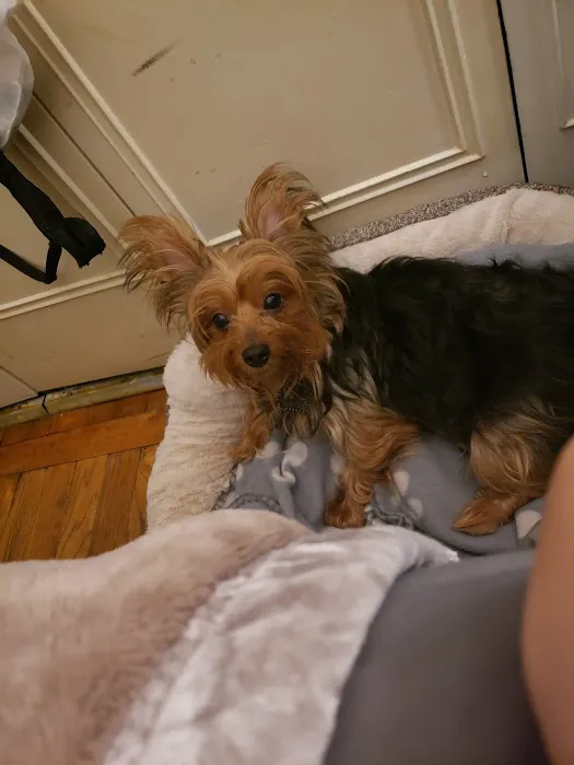 Roselle Park Animal Hospital Picture 1
