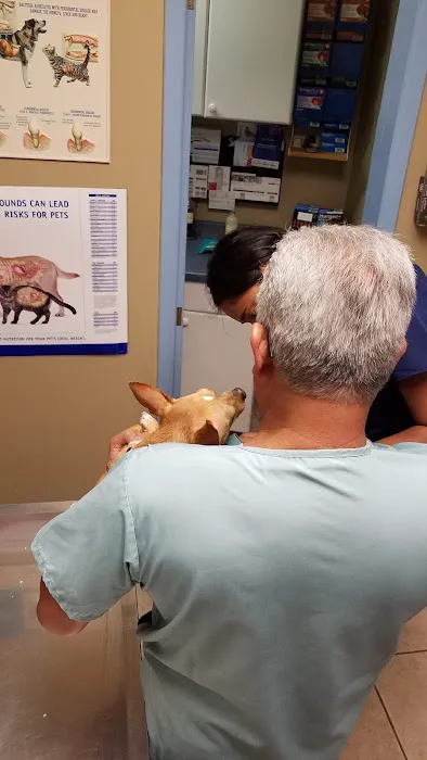 Roselle Park Animal Hospital Picture 3