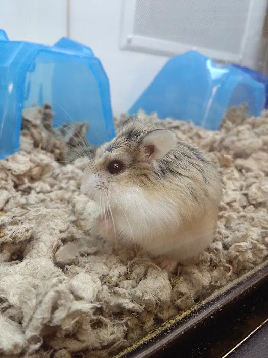 Petco Picture 2