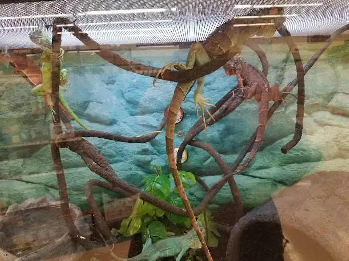 Petco Picture 8