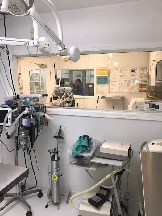 Clark Animal Hospital Picture 9