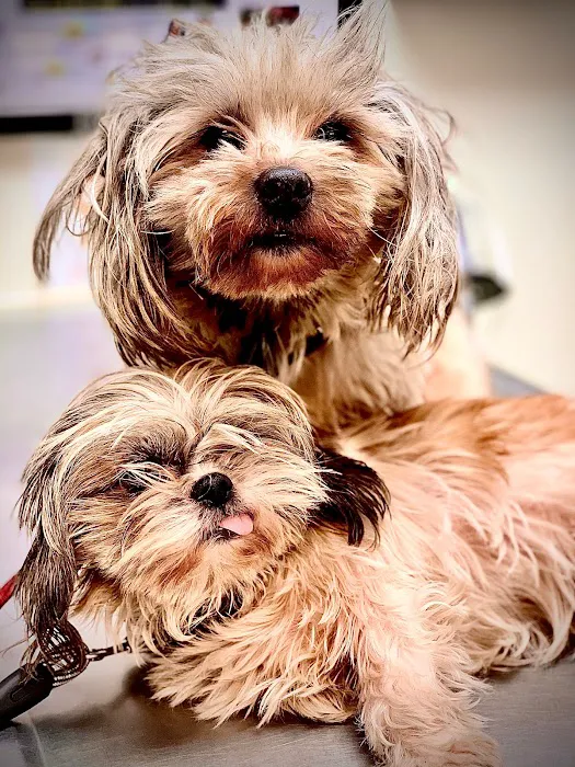 Clark Animal Hospital Picture 8