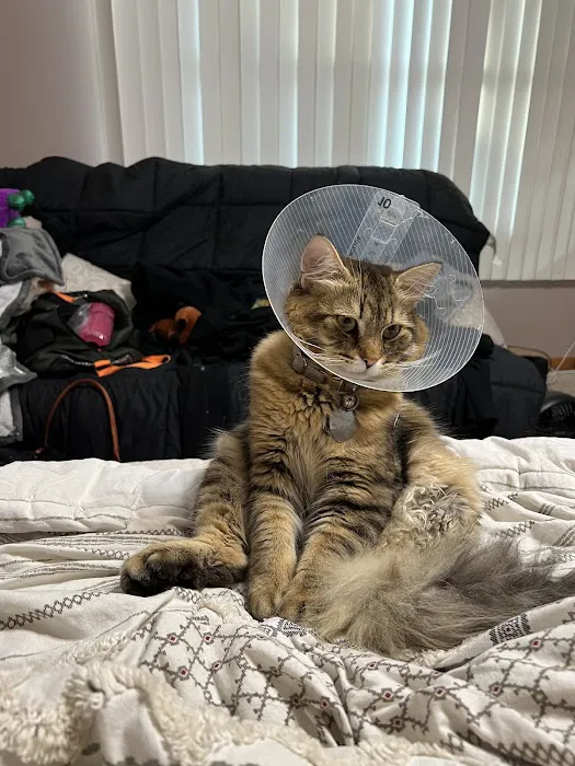 Clark Animal Hospital Picture 1