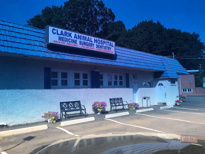 Clark Animal Hospital Picture 6