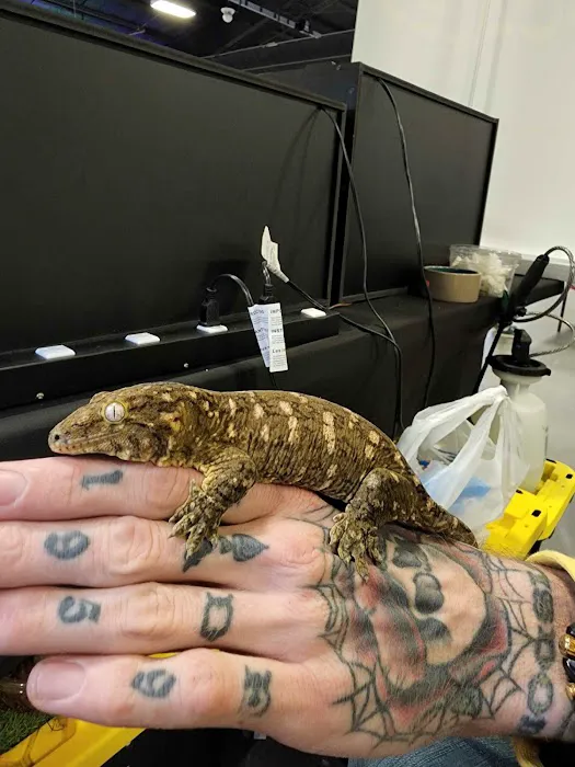 Exotic pets and supply by Endless Scales Picture 9