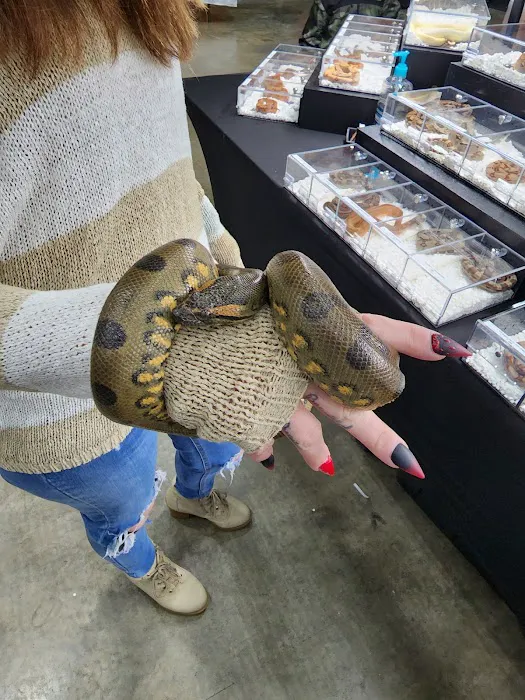 Exotic pets and supply by Endless Scales Picture 3