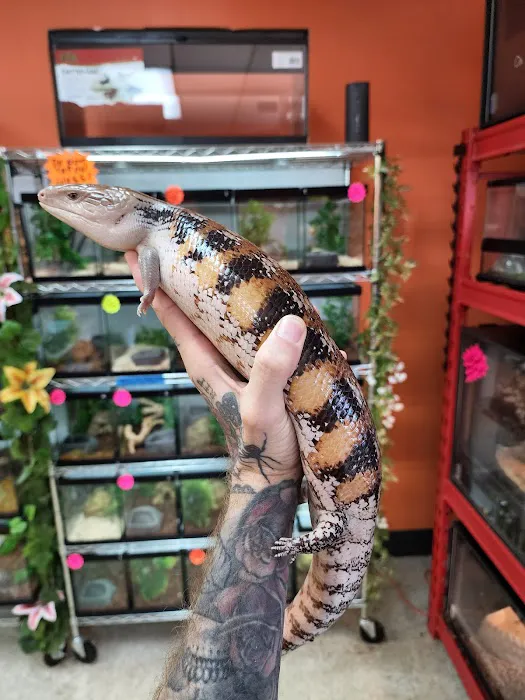 Exotic pets and supply by Endless Scales Picture 1