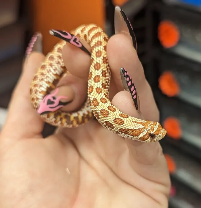 Exotic pets and supply by Endless Scales Picture 4