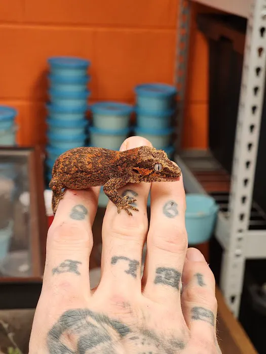 Exotic pets and supply by Endless Scales Picture 6