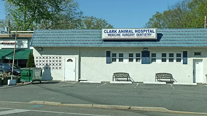 Clark Animal Hospital: Anant V Joshi DVM Picture 3