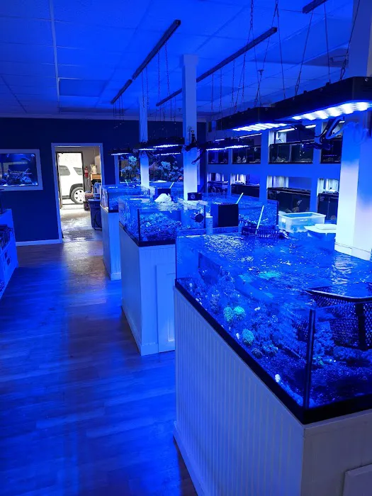 Classic City Aquariums Picture 3