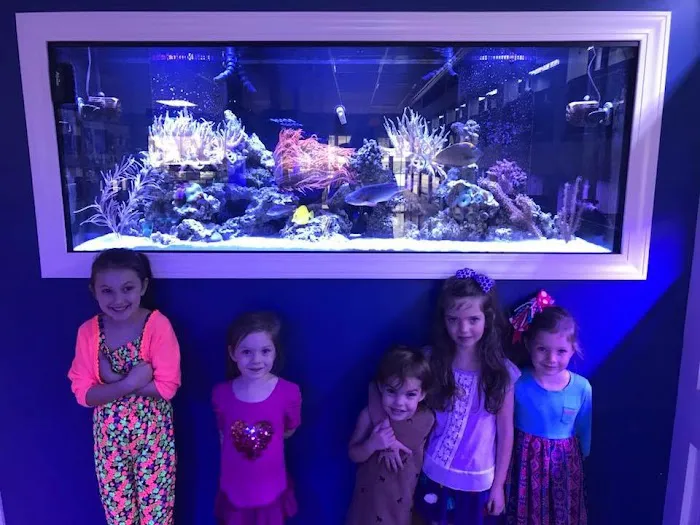 Classic City Aquariums Picture 4