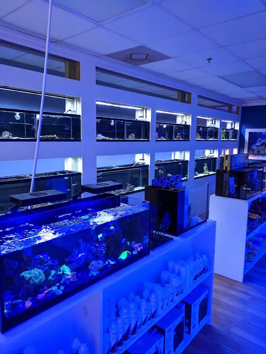 Classic City Aquariums Picture 5