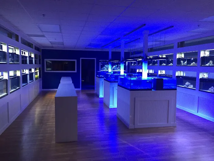 Classic City Aquariums Picture 10