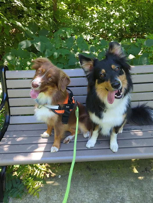 Park Veterinary Group Picture 8
