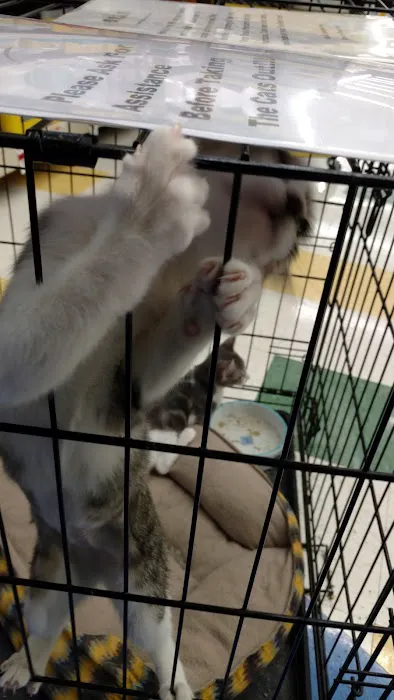 Pet Supplies Plus Athens Picture 7