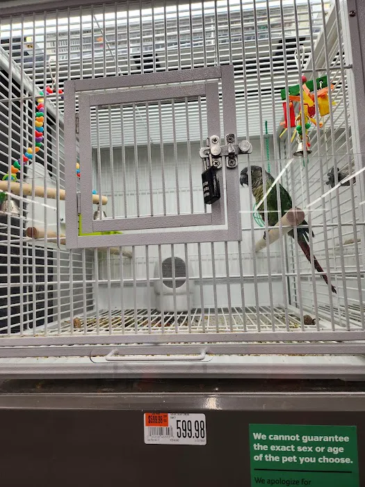 Pet Supplies Plus Athens Picture 8