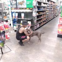 Pet Supplies Plus Athens ico