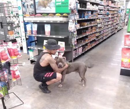 Pet Supplies Plus Athens