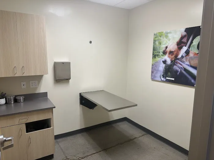 Vetco Total Care Animal Hospital Picture 7