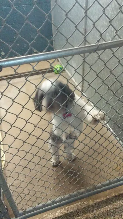 Lexington Animal Hospital Picture 1