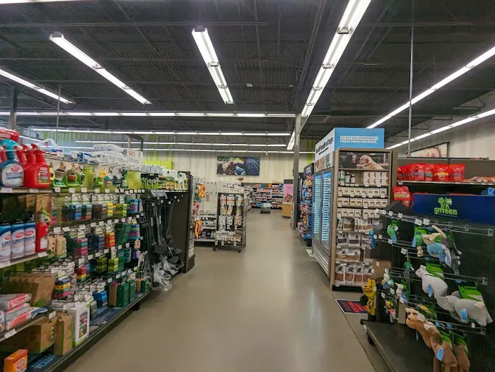 Petco Picture 5